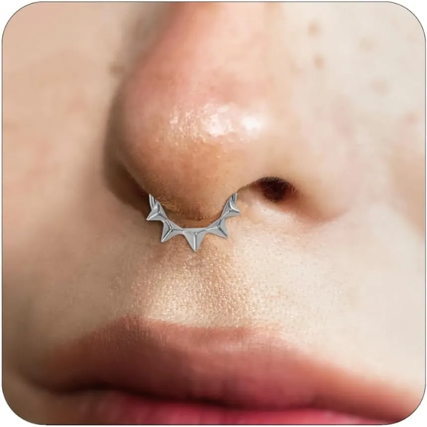 16G Septum Ring for Women 316L Surgical Steel Nose Ring Hoop Septum Clicker Daith Rings Cartilage Earring Hinged Conch Piercing Jewelry 1pcs