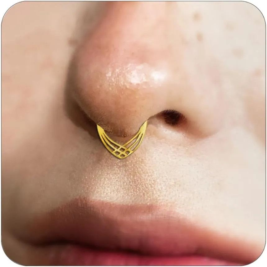 16G Septum Ring for Women 316L Surgical Steel Nose Ring Hoop Septum Clicker Daith Rings Cartilage Earring Hinged Conch Piercing Jewelry 1pcs