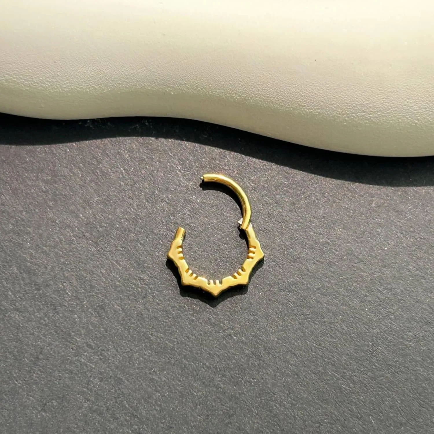 16G Septum Ring for Women 316L Surgical Steel Nose Ring Hoop Septum Clicker Daith Rings Cartilage Earring Hinged Conch Piercing Jewelry 1pcs
