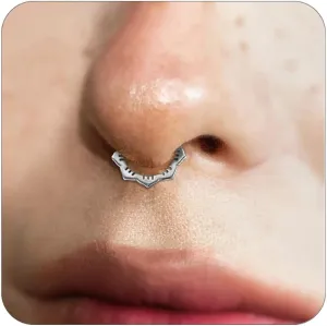 16G Septum Ring for Women 316L Surgical Steel Nose Ring Hoop Septum Clicker Daith Rings Cartilage Earring Hinged Conch Piercing Jewelry 1pcs