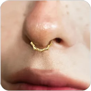 16G Septum Ring for Women 316L Surgical Steel Nose Ring Hoop Septum Clicker Daith Rings Cartilage Earring Hinged Conch Piercing Jewelry 1pcs