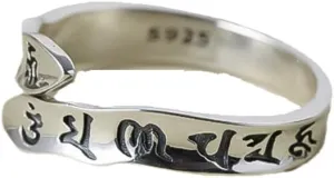 Good Luck Amulet Lucky Charm Adjustable Ring Sterling Silver Attract Lucky Wealthy Open Ring for Women Men