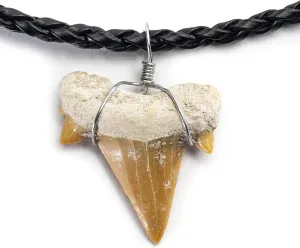 KALIFANO Fossilized Shark Tooth Necklace - Authentic Prehistoric Shark Teeth Fossil Pendant on 18" Inch Braided Leather Cord - Great Gift for Men and Boys (Information Card Included)